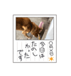 あっぱれ松（個別スタンプ：3）