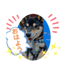 翔タイム✩.*˚（個別スタンプ：2）