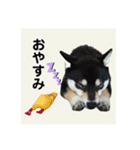 翔タイム✩.*˚（個別スタンプ：3）