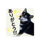 翔タイム✩.*˚（個別スタンプ：4）