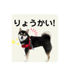 翔タイム✩.*˚（個別スタンプ：5）