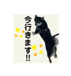 翔タイム✩.*˚（個別スタンプ：6）