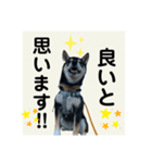 翔タイム✩.*˚（個別スタンプ：7）