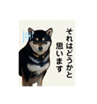 翔タイム✩.*˚（個別スタンプ：8）
