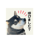 翔タイム✩.*˚（個別スタンプ：11）