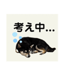 翔タイム✩.*˚（個別スタンプ：14）