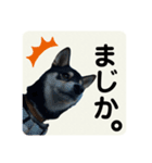 翔タイム✩.*˚（個別スタンプ：15）