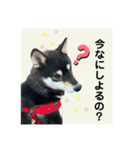 翔タイム✩.*˚（個別スタンプ：16）