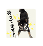 翔タイム✩.*˚（個別スタンプ：17）