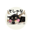翔タイム✩.*˚（個別スタンプ：18）