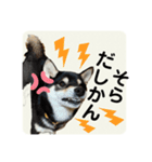 翔タイム✩.*˚（個別スタンプ：21）