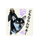 翔タイム✩.*˚（個別スタンプ：22）