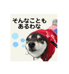 翔タイム✩.*˚（個別スタンプ：23）