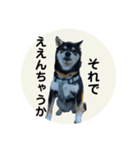 翔タイム✩.*˚（個別スタンプ：24）
