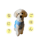 くっちスタンプ2（個別スタンプ：12）