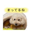 くっちスタンプ2（個別スタンプ：15）