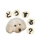 くっちスタンプ2（個別スタンプ：17）