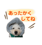 くっちスタンプ2（個別スタンプ：22）