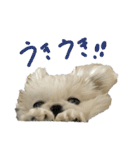 さくらいうに（個別スタンプ：8）