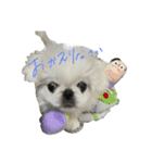 さくらいうに（個別スタンプ：22）