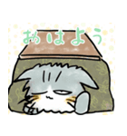 手書きサイベリニャン【冬】（個別スタンプ：6）