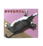 みずののおなす（個別スタンプ：4）