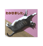 みずののおなす（個別スタンプ：5）