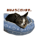 みずののおなす（個別スタンプ：8）