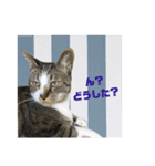 みずののおなす（個別スタンプ：10）