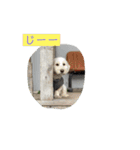 ここたのスタンプ2021（個別スタンプ：2）