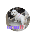 ここたのスタンプ2021（個別スタンプ：7）
