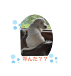 ここたのスタンプ2021（個別スタンプ：10）