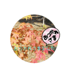 まんまるほんわか（個別スタンプ：6）