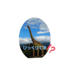 まんまるほんわか（個別スタンプ：7）