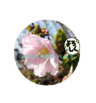 まんまるほんわか（個別スタンプ：10）