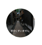 まんまるほんわか（個別スタンプ：11）