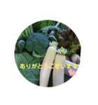 まんまるほんわか（個別スタンプ：13）
