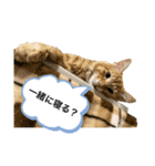 おちびーず3（個別スタンプ：6）