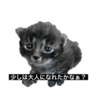 おちびーず3（個別スタンプ：7）