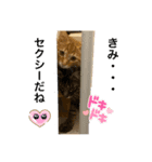 おちびーず3（個別スタンプ：8）