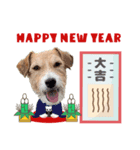 うめちゃんのクリスマス＆お正月（個別スタンプ：1）