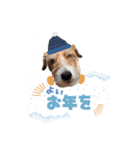 うめちゃんのクリスマス＆お正月（個別スタンプ：2）