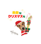 うめちゃんのクリスマス＆お正月（個別スタンプ：3）