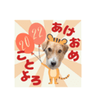 うめちゃんのクリスマス＆お正月（個別スタンプ：4）