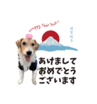 うめちゃんのクリスマス＆お正月（個別スタンプ：7）