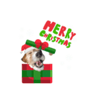 うめちゃんのクリスマス＆お正月（個別スタンプ：8）