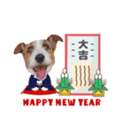 ステファノくんクリスマス＆お正月（個別スタンプ：1）