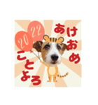 ステファノくんクリスマス＆お正月（個別スタンプ：2）