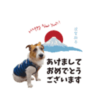 ステファノくんクリスマス＆お正月（個別スタンプ：3）