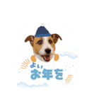 ステファノくんクリスマス＆お正月（個別スタンプ：4）